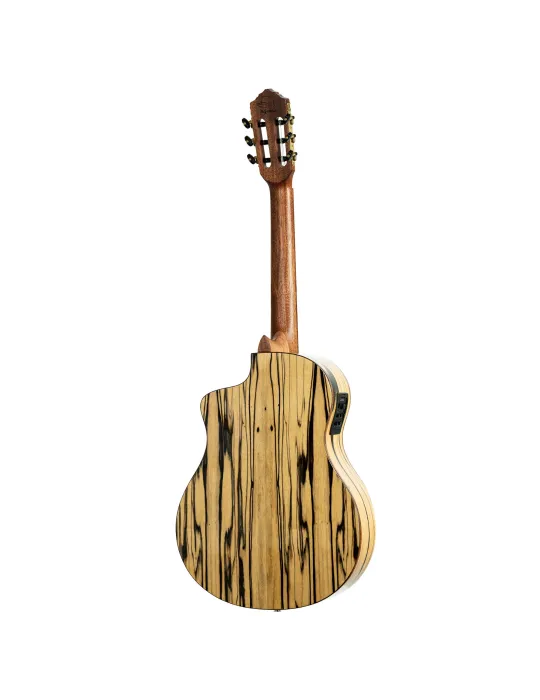 ORTEGA BYWSM | MusicGoodDeal