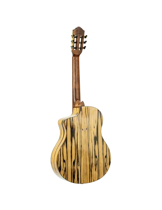 ORTEGA BYWSM | MusicGoodDeal
