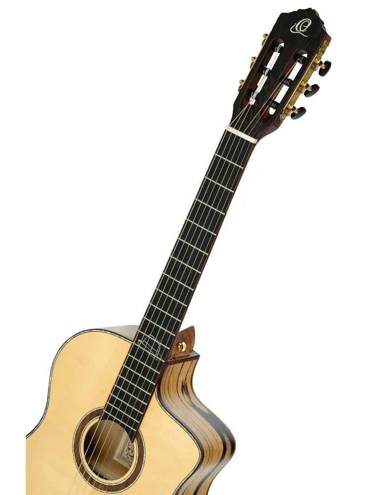 ORTEGA BYWSM | MusicGoodDeal