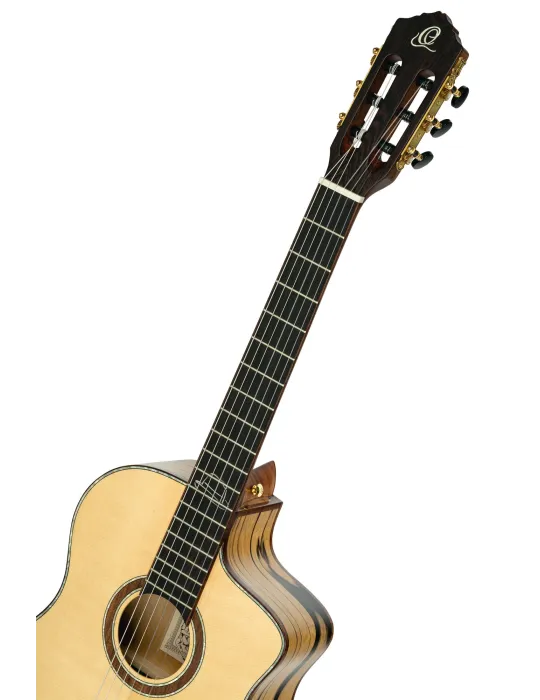 ORTEGA BYWSM | MusicGoodDeal
