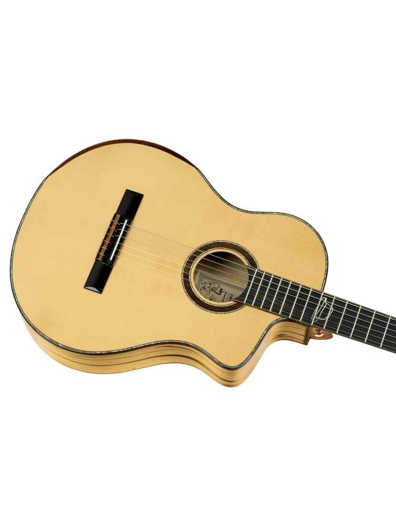 ORTEGA BYWSM | MusicGoodDeal