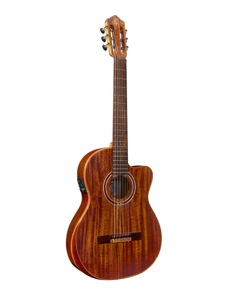 ORTEGA EXOTICSUITECE | MusicGoodDeal