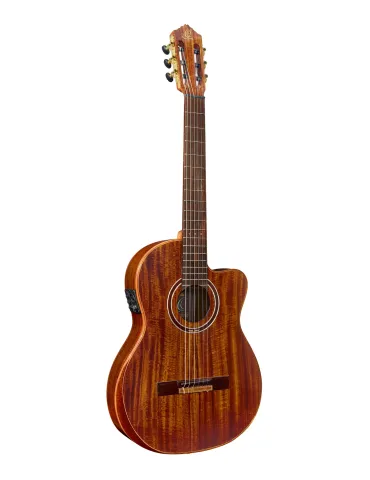 ORTEGA EXOTICSUITECE | MusicGoodDeal 2