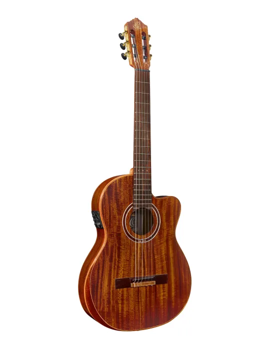 ORTEGA EXOTICSUITECE | MusicGoodDeal