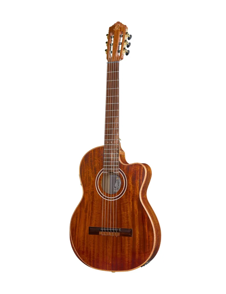 ORTEGA EXOTICSUITECE | MusicGoodDeal