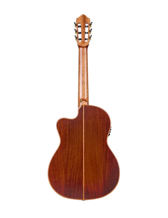ORTEGA EXOTICSUITECE | MusicGoodDeal