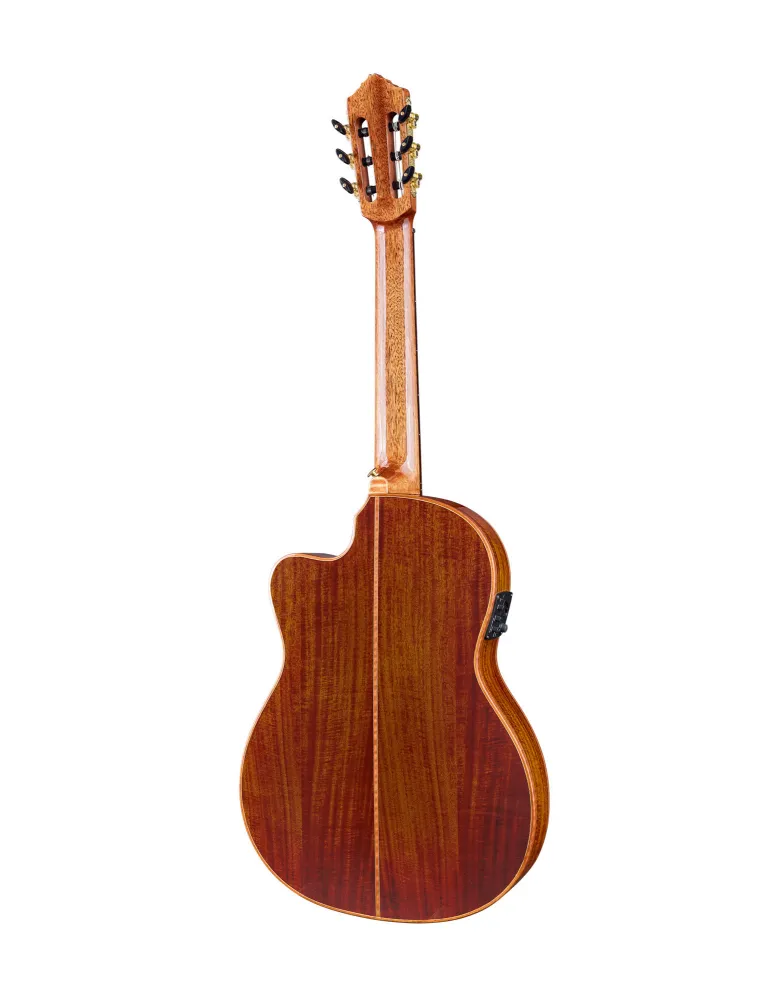 ORTEGA EXOTICSUITECE | MusicGoodDeal
