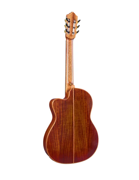 ORTEGA EXOTICSUITECE | MusicGoodDeal