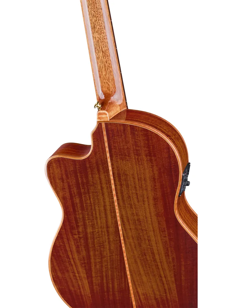 ORTEGA EXOTICSUITECE | MusicGoodDeal