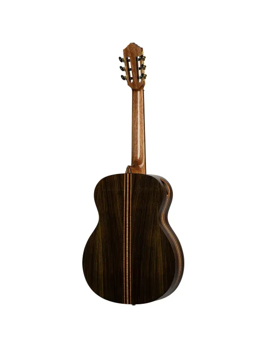 ORTEGA GRANDSUITE | MusicGoodDeal