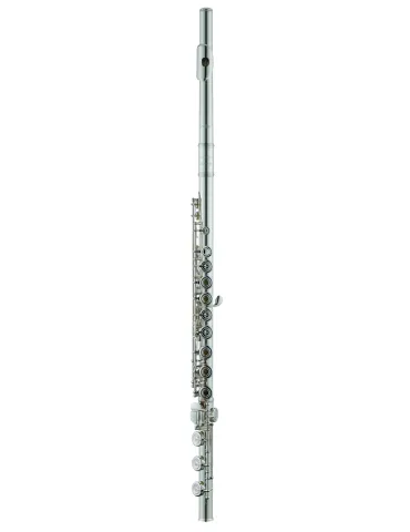 AZUMI AZS3RBI-MFA | MusicGoodDeal 2