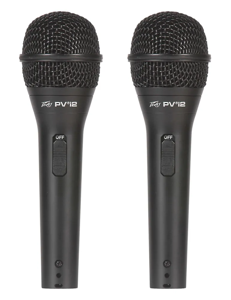 PEAVEY PVI-2BK-PACK | MusicGoodDeal