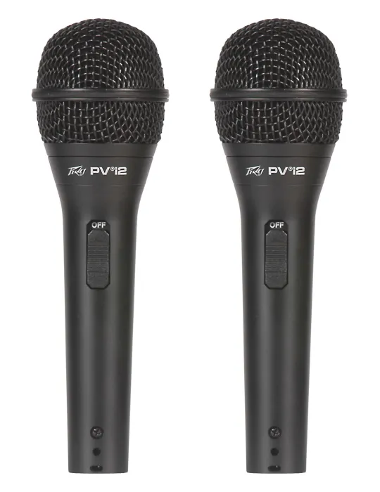 PEAVEY PVI-2BK-PACK | MusicGoodDeal