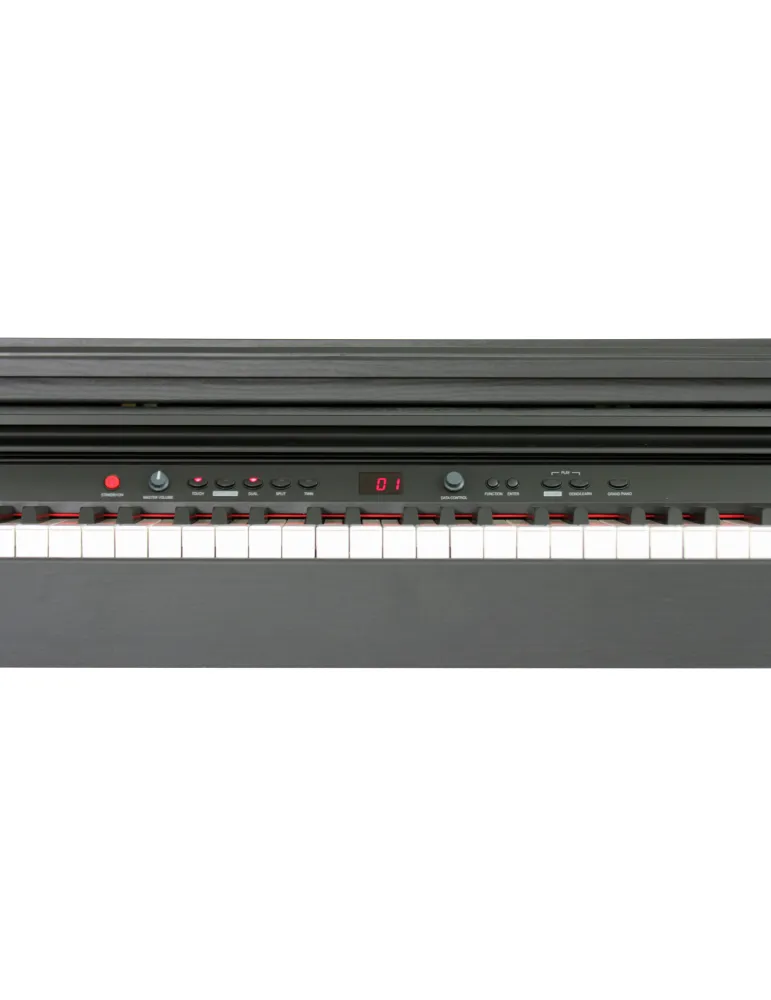  ADAGIO DP150BK DIGITAL PIANO DP150BK|MusicGoodDeal 