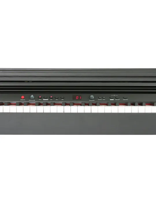  ADAGIO DP150BK DIGITAL PIANO DP150BK|MusicGoodDeal 