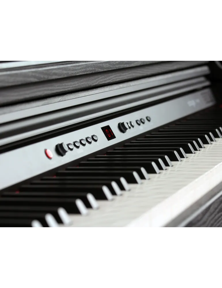 ADAGIO DP150BK DIGITAL PIANO DP150BK|MusicGoodDeal 