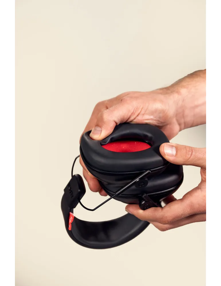 ALPINE DEFENDER | MusicGoodDeal