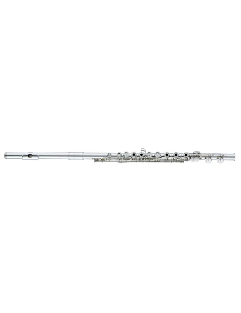 ALTUS ASA9R-S | MusicGoodDeal