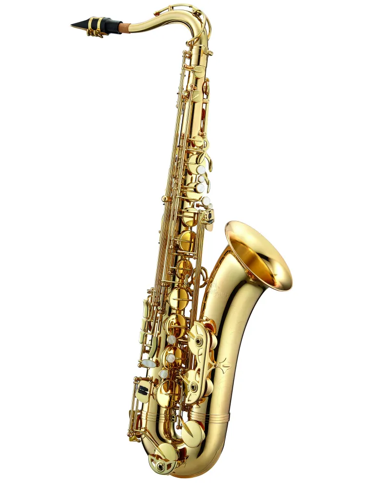  ANTIGUA TENOR SAXOPHONE TS3108LQCH|MusicGoodDeal 