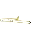 ANTIGUA TB2210LQ | MusicGoodDeal