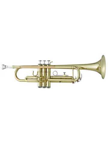 ANTIGUA TR2561LQ | MusicGoodDeal