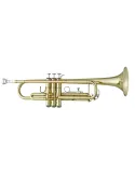 ANTIGUA TR2561LQ | MusicGoodDeal