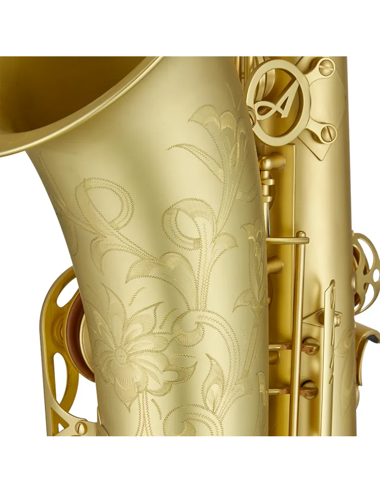 ANTIGUA TS4348-01A-CU | MusicGoodDeal
