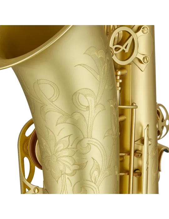 ANTIGUA TS4348-01A-CU | MusicGoodDeal