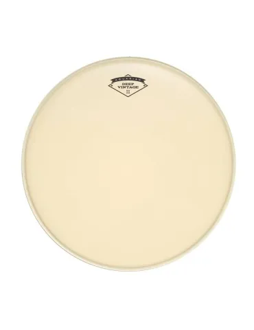  AQUARIAN DVII26 SKIN DEEP II 26 "GR C|MusicGoodDeal 