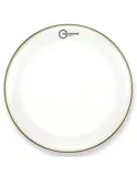  AQUARIAN FORCE SKIN 20".|MusicGoodDeal 