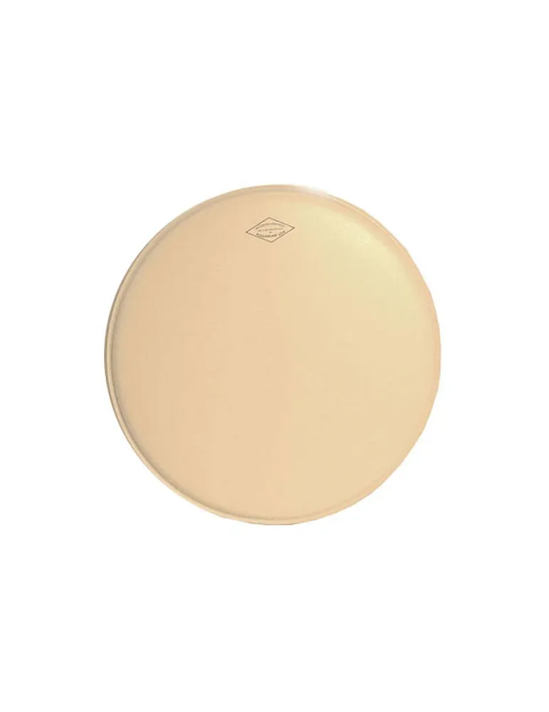  PIEL DE ACUARIO MODERNO VINTAGE 16"|MusicGoodDeal 