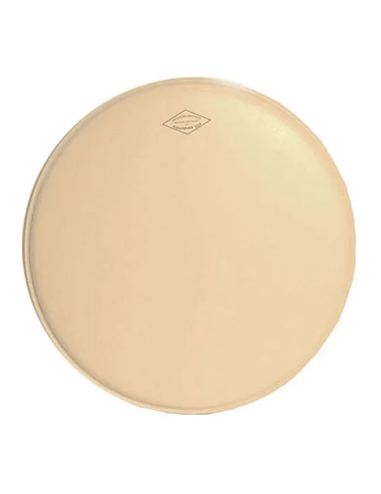  PIEL DE ACUARIO MODERNO VINTAGE 16"|MusicGoodDeal 