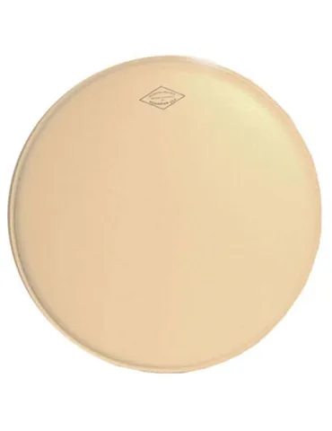  AQUARIAN SKIN MODERN VINTAGE 12".|MusicGoodDeal 