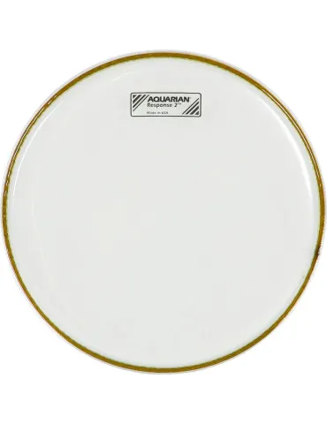  AQUARIAN SKIN RESPONSE 2 10"|MusicGoodDeal 
