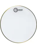  AQUARIAN SKIN CLASSIC CLEAR 10" STAMP|MusicGoodDeal 