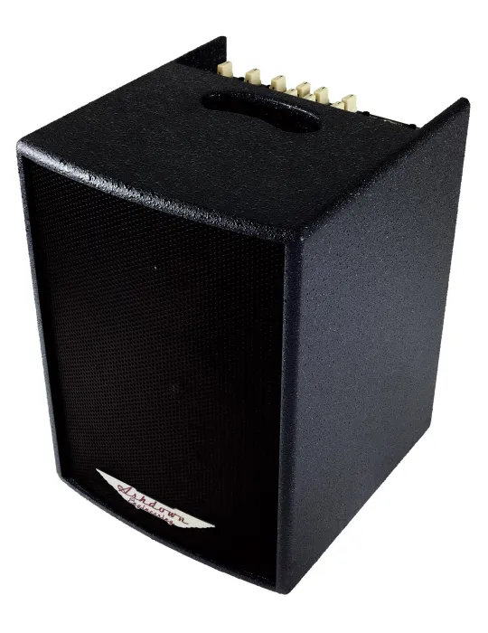 ASHDOWN AA100 | MusicGoodDeal