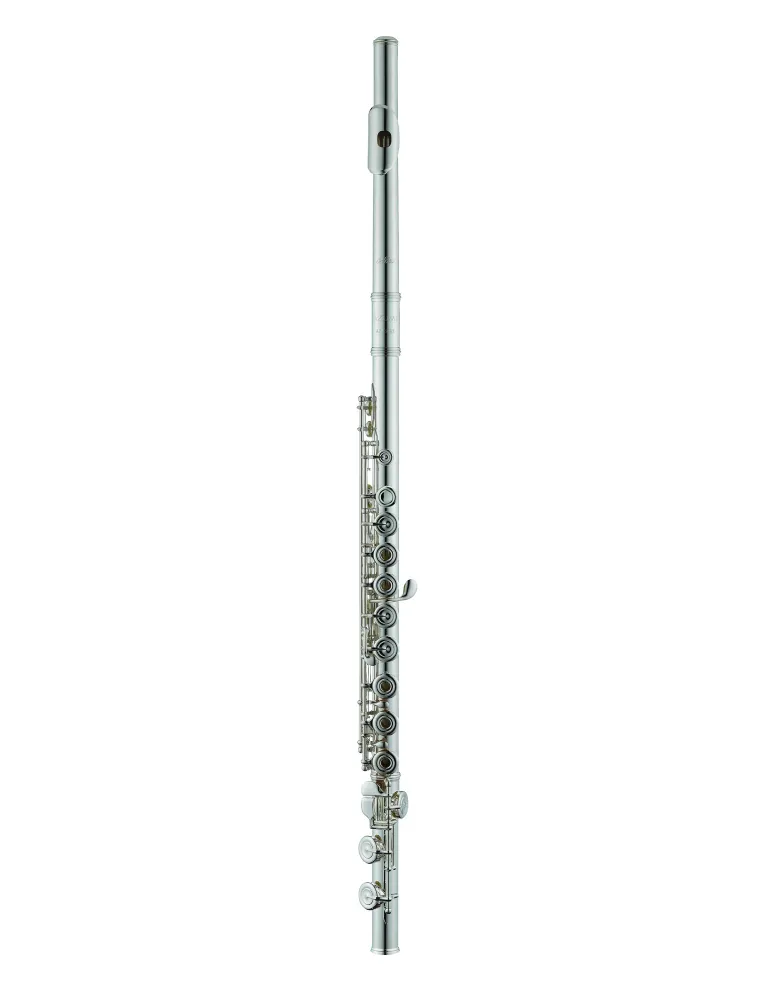 AZUMI AZS3RI | MusicGoodDeal
