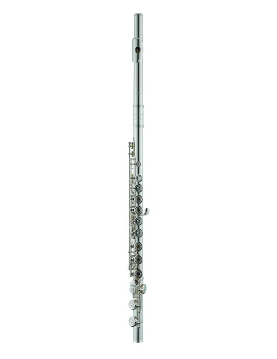 AZUMI AZS3RI | MusicGoodDeal
