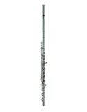 AZUMI AZZ3RBI | MusicGoodDeal