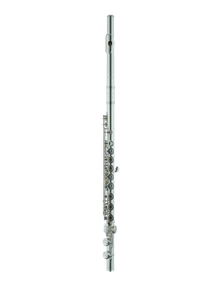 AZUMI AZZ3RI | MusicGoodDeal