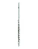 AZUMI AZZ3RI | MusicGoodDeal