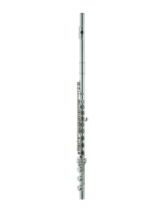 AZUMI AZS2RBI | MusicGoodDeal