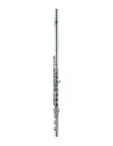 AZUMI AZS2RBI | MusicGoodDeal