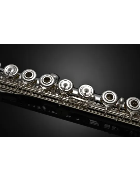 AZUMI AZS2RBI | MusicGoodDeal
