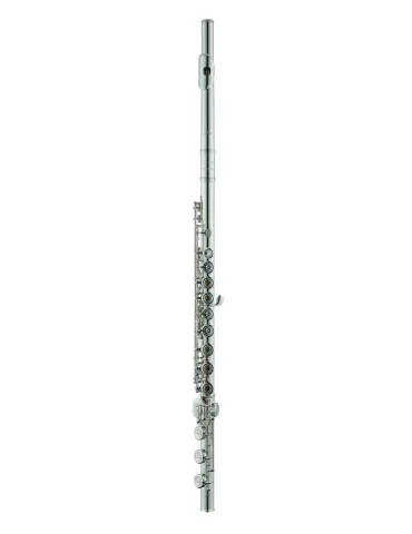 AZUMI AZZ2RBI | MusicGoodDeal