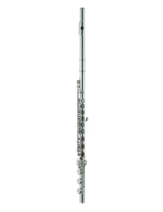 AZUMI AZZ2RBI | MusicGoodDeal