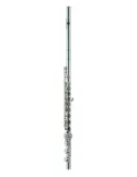 AZUMI AZZ2RBI | MusicGoodDeal