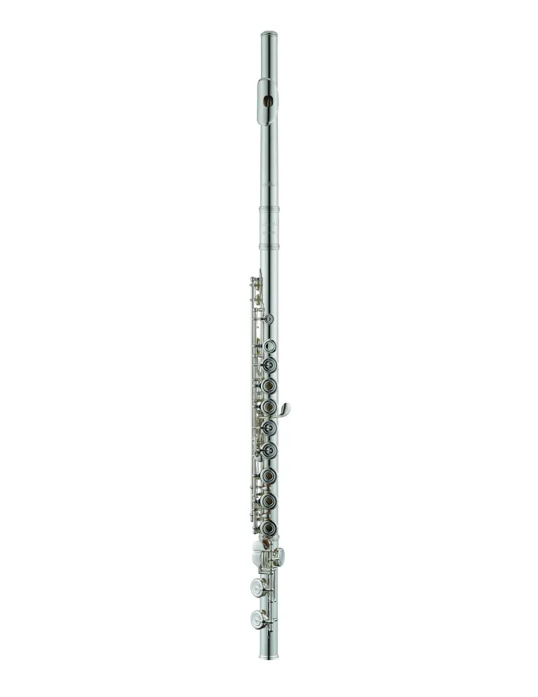 AZUMI AZS2RI | MusicGoodDeal