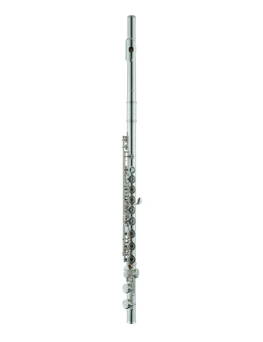 AZUMI AZS2RI | MusicGoodDeal