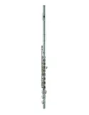 AZUMI AZS2RI | MusicGoodDeal